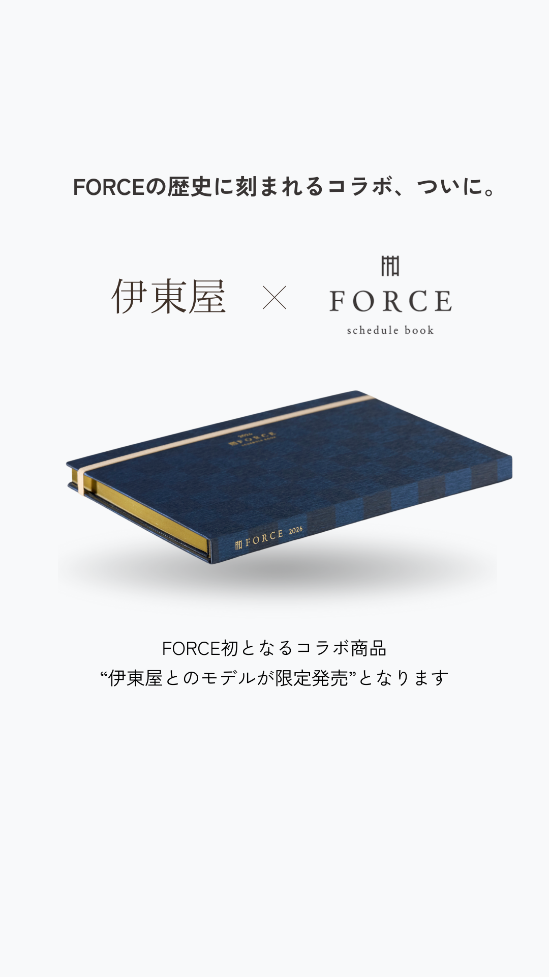 n@年末処分予定(涙)プロフ必読 出品 うつね@プロフ必読/即購入不可様専用 ライターデコオーダー - メルカリ